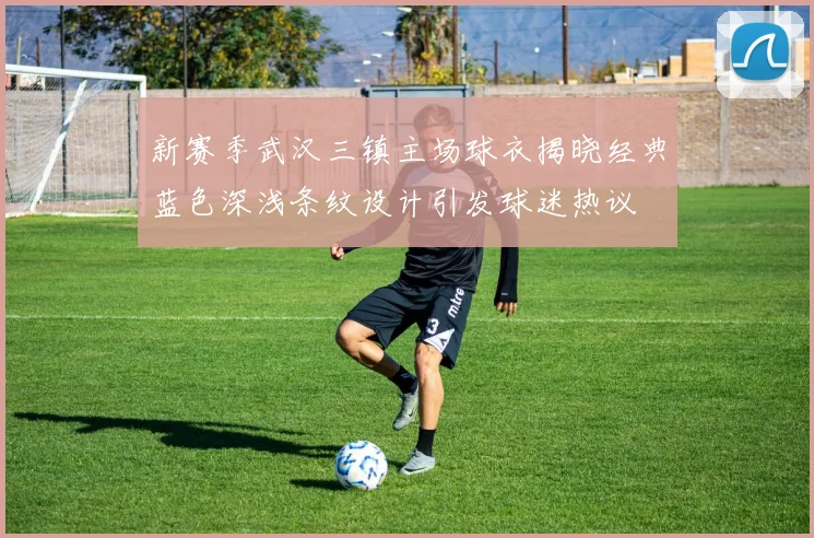 新赛季武汉三镇主场球衣揭晓经典蓝色深浅条纹设计引发球迷热议