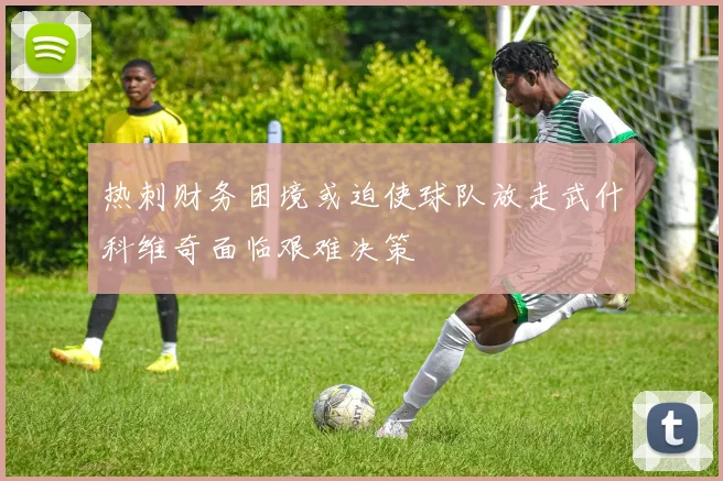 热刺财务困境或迫使球队放走武什科维奇面临艰难决策