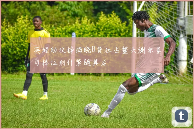 英超助攻榜揭晓B费独占鳌头谢尔基与格拉利什紧随其后
