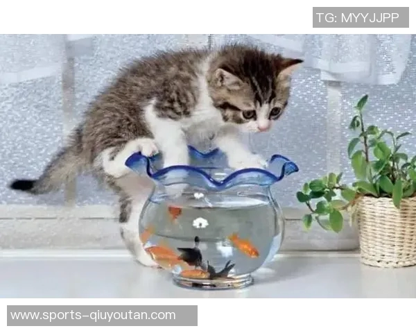 今日趣图:探讨鱼缸中的咸水鱼与淡水鱼共存的可能性与挑战 今日趣图:探讨鱼缸中的咸水鱼与淡水鱼共存的可能性与挑战